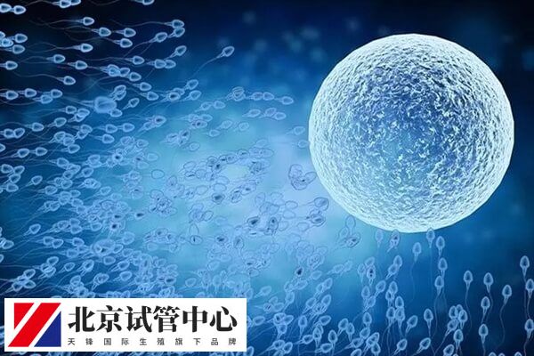 试管空卵泡是不是方案不对